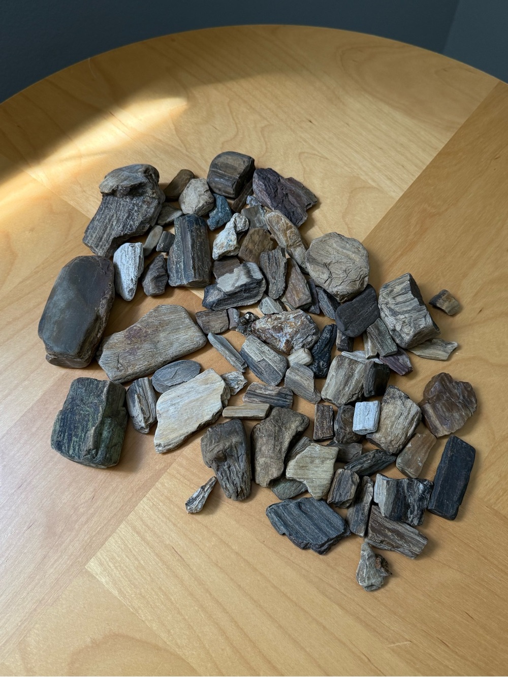 Collection of 65 Small Sized Pieces Genuine Raw Petrified Fossilized Wood